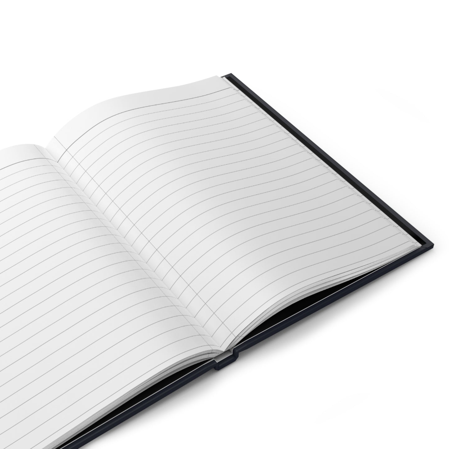 Visible in the Dark Journal