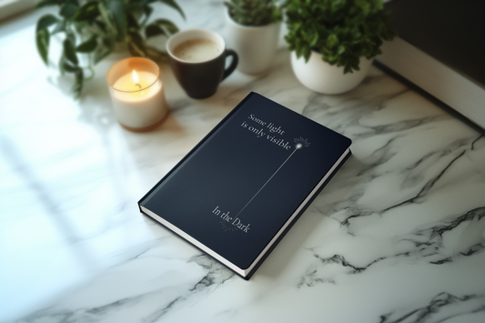Visible in the Dark Journal